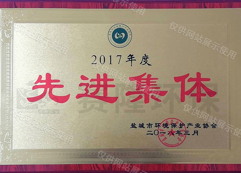 2017年市环协先进集体